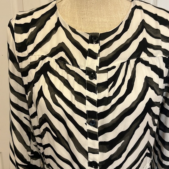 Banana Republic Zebra 🦓 Print Midi Dress with Button Front Closure/ Size 6 - Picture 4 of 9